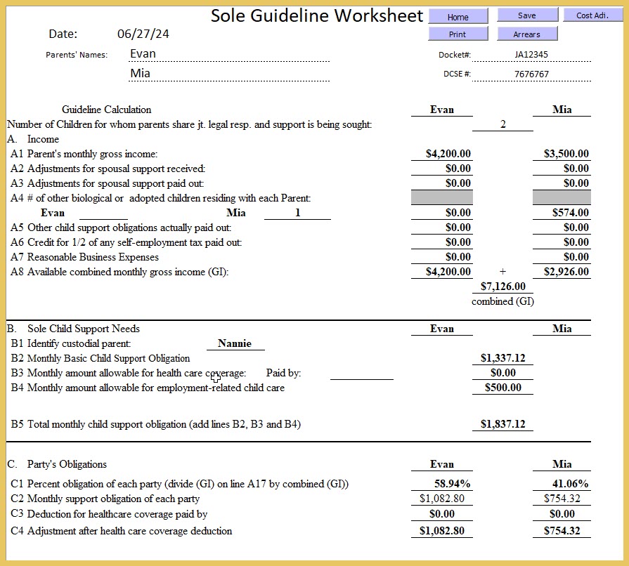 sole guideline nonparent guideline